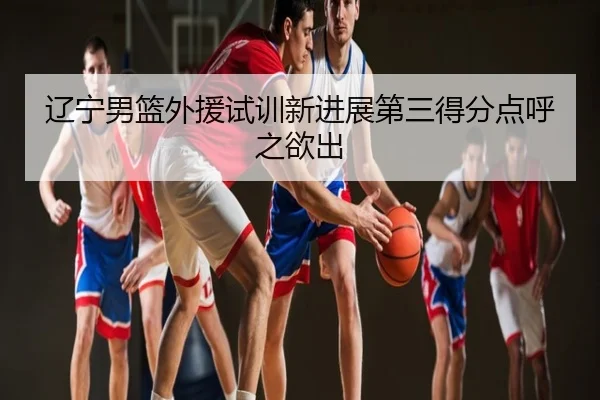 辽宁男篮外援试训新进展第三得分点呼之欲出